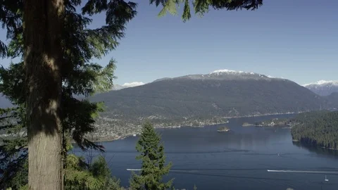 Ocean Trees Mountains Stock Footage 72125890