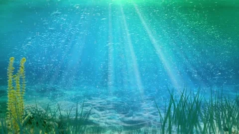 Ocean - under water Stock Footage 222164077