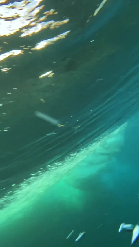 Ocean, under water shot, sunlight.Vertical video Stock Footage 296203373