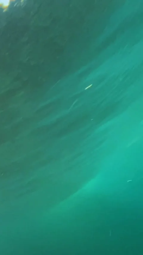Ocean, under water shot, sunlight.Vertical video Stock Footage 296203374