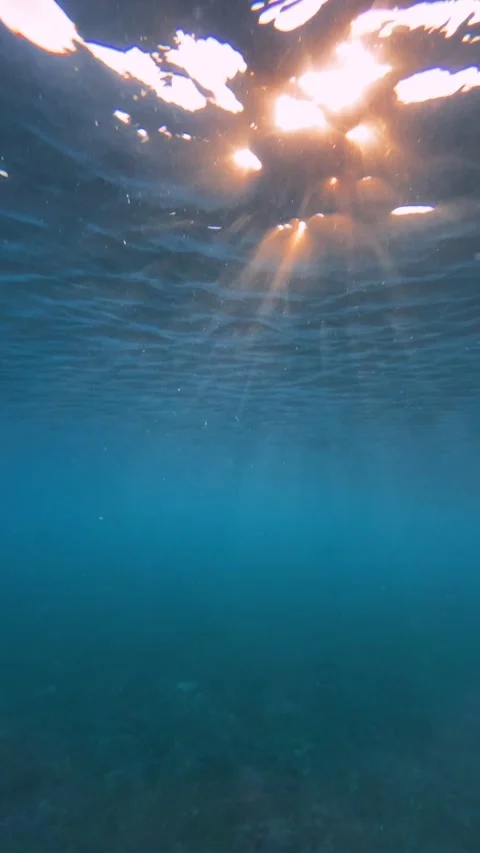 Ocean, under water shot, sunlight.Vertical video Stock Footage 296203464