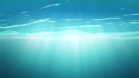 Ocean underwater Stock Footage 241553689