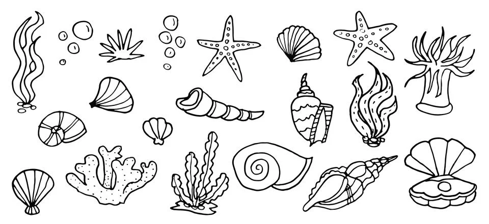 Ocean underwater shell doodle set, tropical outline sea cartoon icons for Stock Illustration