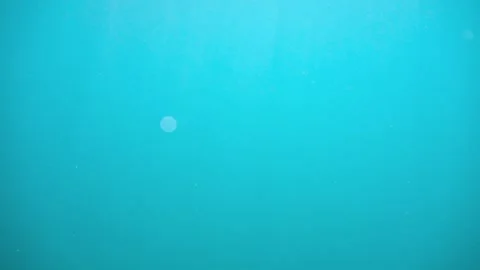 Ocean Underwater View Stock Footage 305123855