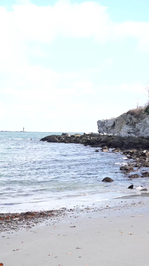 Ocean View 2 in Main Stock Footage 305961510