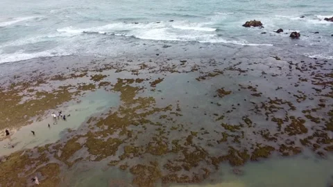Ocean view and beachgoers Stock Footage 244647960