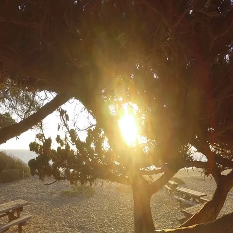 Ocean view and geology, Malibu, CA Stock Footage 69464458