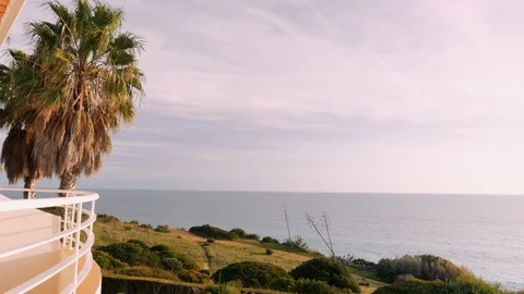 Ocean View Balcony with Palm Trees Stock Footage 107535904