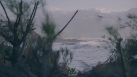 Ocean view with beach and greenery in forground Honolulu Hawaii Stock Footage 313501910