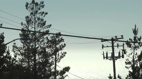 Ocean View with Car Video stock 988281