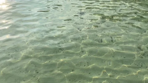 Ocean view clear water small fish gently waves 库存影片 162374035