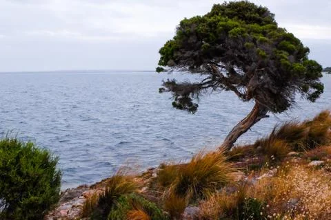 Ocean view from the coast Stock Photos