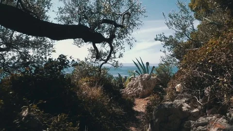 Ocean view in Croatia Stock Footage 79624064