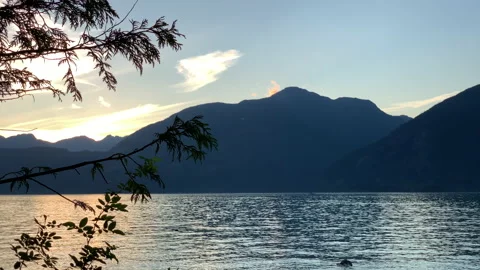Ocean view dusk with magical insects Stock Footage 146991937