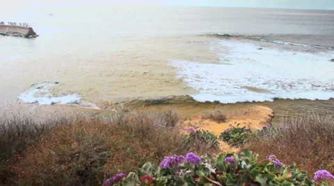 Ocean View Stock Footage 37695192