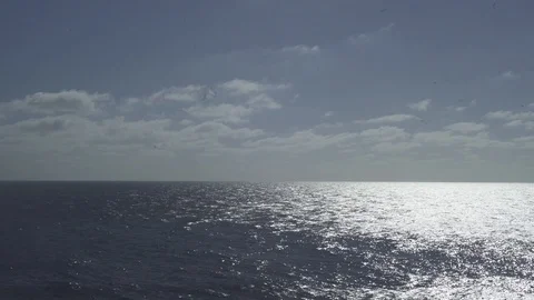 Ocean view 動画素材 113630414