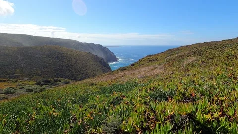 Ocean View 스톡 동영상 210793511