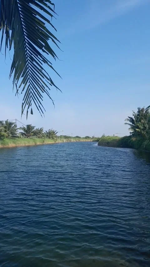 Ocean View 動画素材 233580183