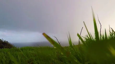 Ocean view from the hill on a rainy day, green vegetation, rain, cloudy sky Stock Footage 78158808