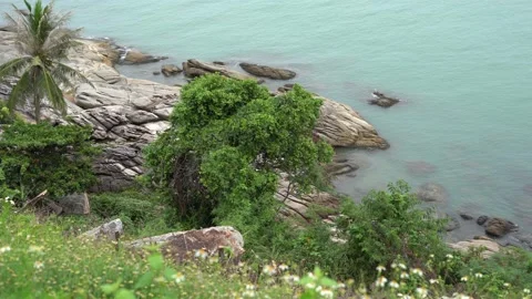 Ocean view landscape Video stock 153141509