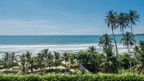 Ocean View Palm Timelapse 4k Stock Footage 85969621