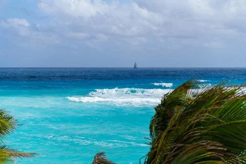 Ocean view from a palm tree with a distant sailboat Stock Photos