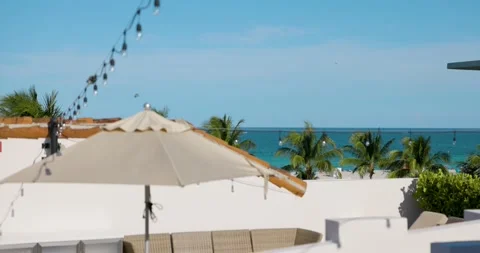 Ocean View Palm Trees From The Balcony On Ocean Drive Miami, Florida Stock Footage 200846795