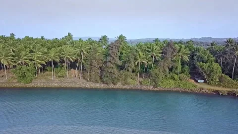 Ocean view with palm trees Stock Footage 133244599