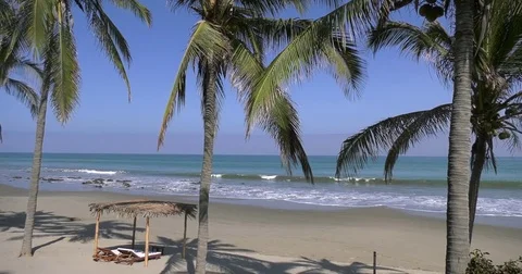 Ocean view with palm trees on a sunny day Stock Footage 82595065