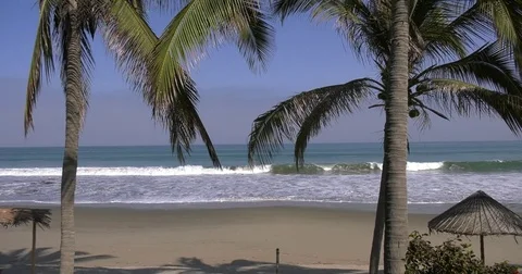 Ocean view with palm trees on a sunny day Stock Footage 82595200