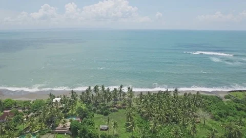 Ocean View Palm Trees Tropical Aerial 4k Stock Footage 70802796