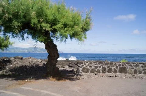 Ocean view Stock Photos