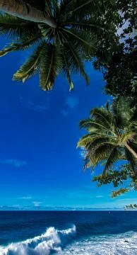 Ocean View Stock Photos