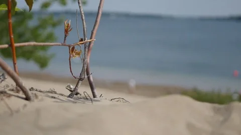 Ocean view from pretty beach  스톡 동영상 72679706