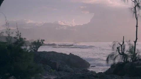Ocean view with rocks and greenery in forground Honolulu Hawaii Stock Footage 313502180