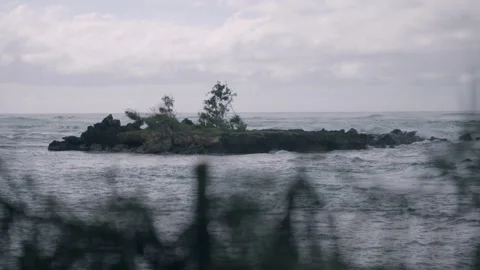 Ocean view with rocks and greenery in forground Honolulu Hawaii Stock Footage 313502402