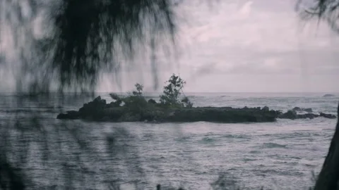 Ocean view with rocks and greenery in forground Honolulu Hawaii Stock Footage 313502475