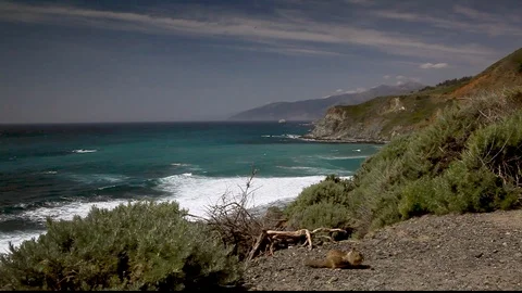 Ocean View Squirrels Stock Footage 104607514