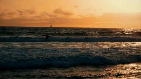 Ocean view at summer evening. Dawn with a romantic sunset view on lonely boat. Видео 106851506