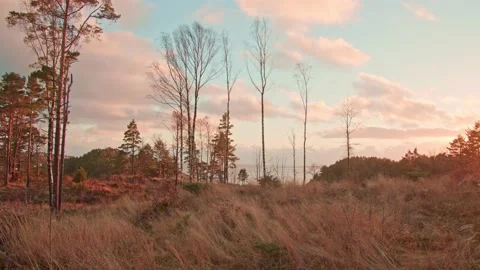 Ocean view with sunset lighting up grassy field in foreground - camera movin Video stock 144134043