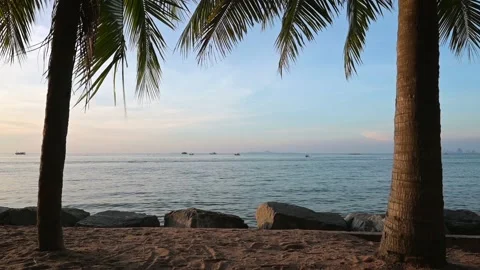 Ocean view through palm trees of water sports Vidéo 164729730