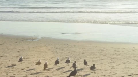 Ocean View Timelapse Stock Footage 46757823