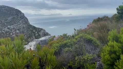 Ocean views from the mountains on a cloudy day in Cape Point, South Africa Stock Footage 168833198