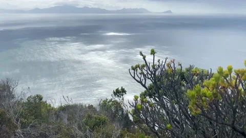 Ocean views from the mountains on a cloudy day in Cape Point, South Africa Stock Footage 168833246