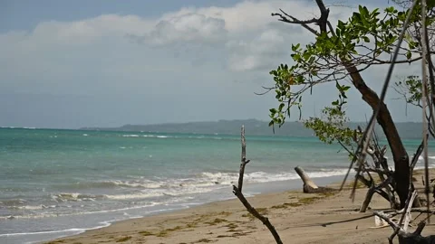 Ocean is visible on background. Exotic backwater beckons to depths of tropics. Stock Footage 167279177