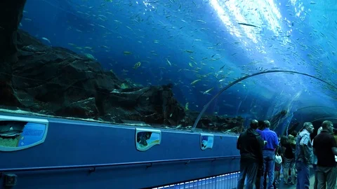 Ocean Voyager Time Lapse 库存影片 94427464