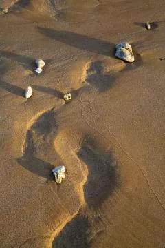 Ocean washed footsteps Stock Photos