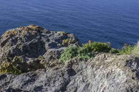 The ocean washes the cliffs with its waves. Photos