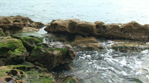Ocean Water with Algae and Rocks Stock Footage 245225