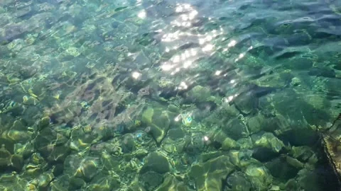 Ocean Water Clear Stock Footage 219821028
